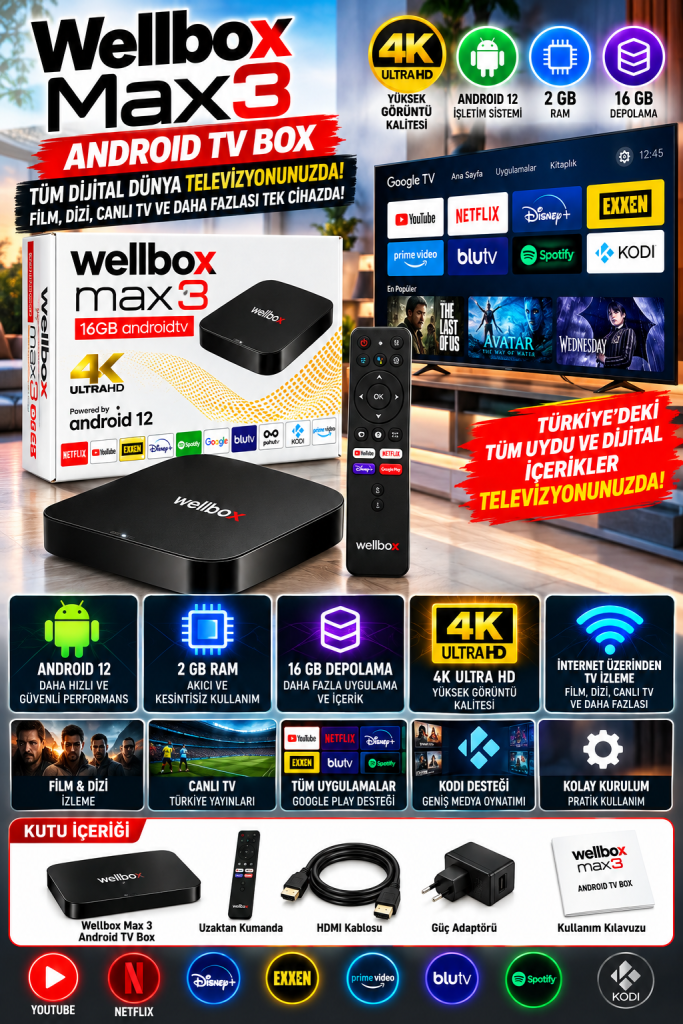 wellbox max 3 android tv kutusu